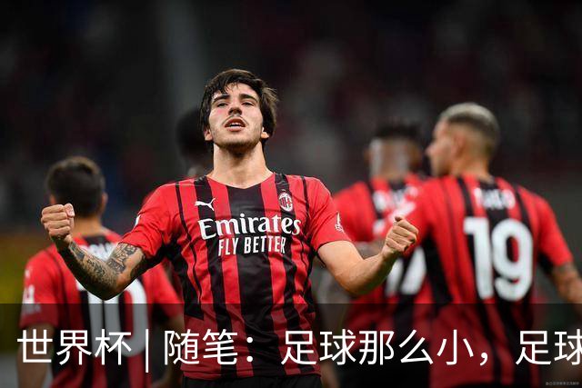 世界杯 | 随笔：足球那么小，足球这么大