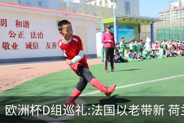 欧洲杯D组巡礼:法国以老带新 荷兰豪华后防