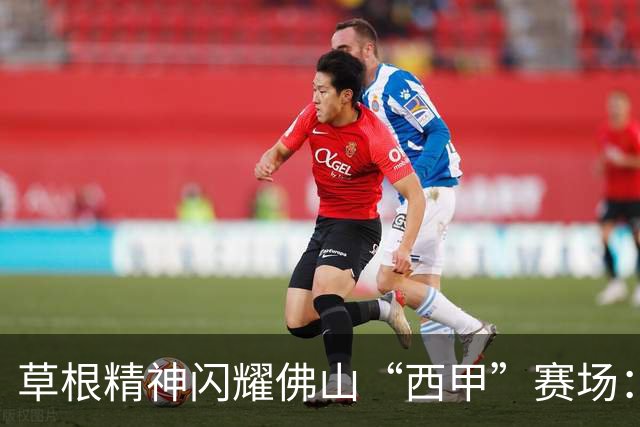 草根精神闪耀佛山“西甲”赛场：云东海控股队顽强战至终章
