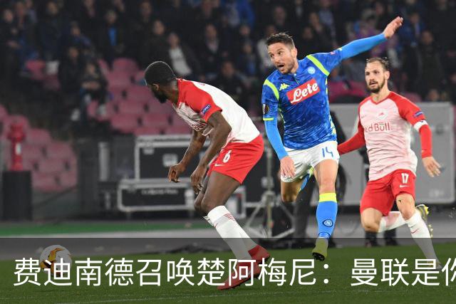 费迪南德召唤楚阿梅尼：曼联是你的唯一归宿，想成事的话就来吧！
