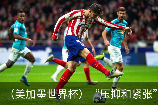 （美加墨世界杯）“压抑和紧张”中的伊朗队首秀